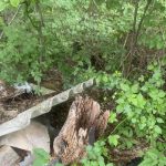 Groß (GrundstückEntrümpeln5)