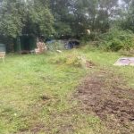 Groß (GrundstückEntrümpeln6)