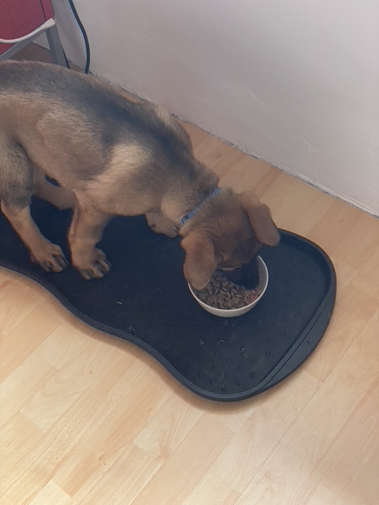 3889DA97-4D4F-4307-9E31-7DE6AF9C849C_1_105_c