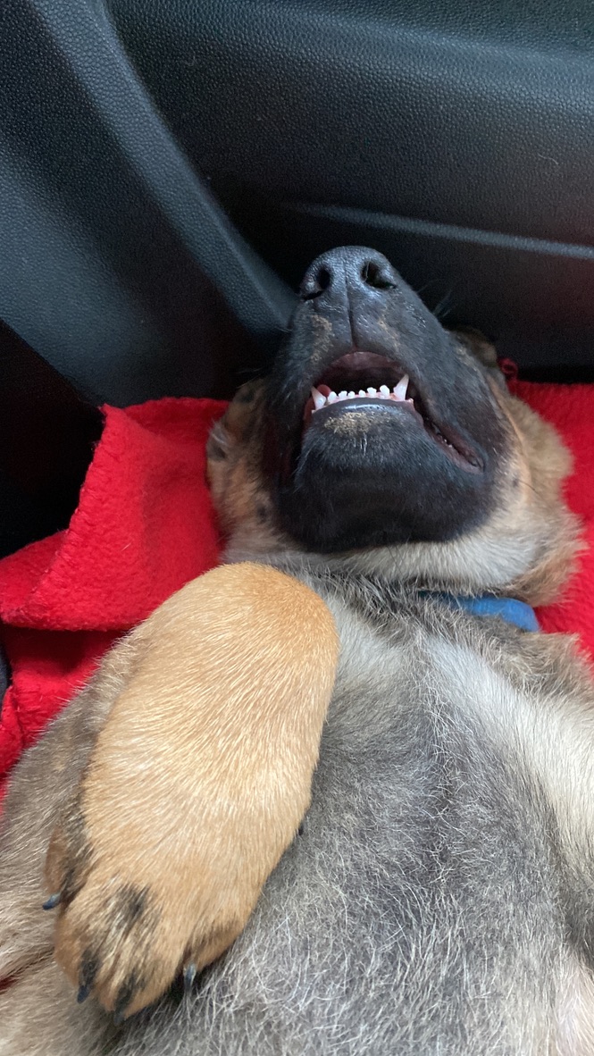 3B4DF8BE-7DDD-4F36-A00F-56A72006DF7C_1_105_c