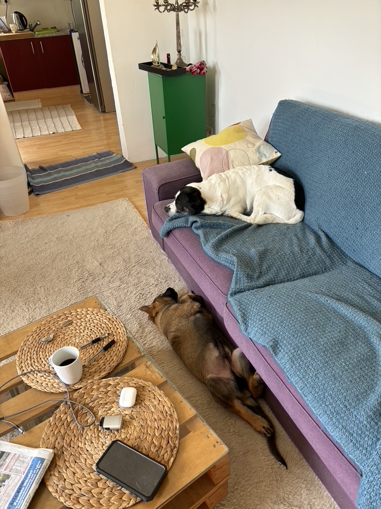 3CC1B7DE-9834-4F93-A255-5C77C1C54A83_1_105_c