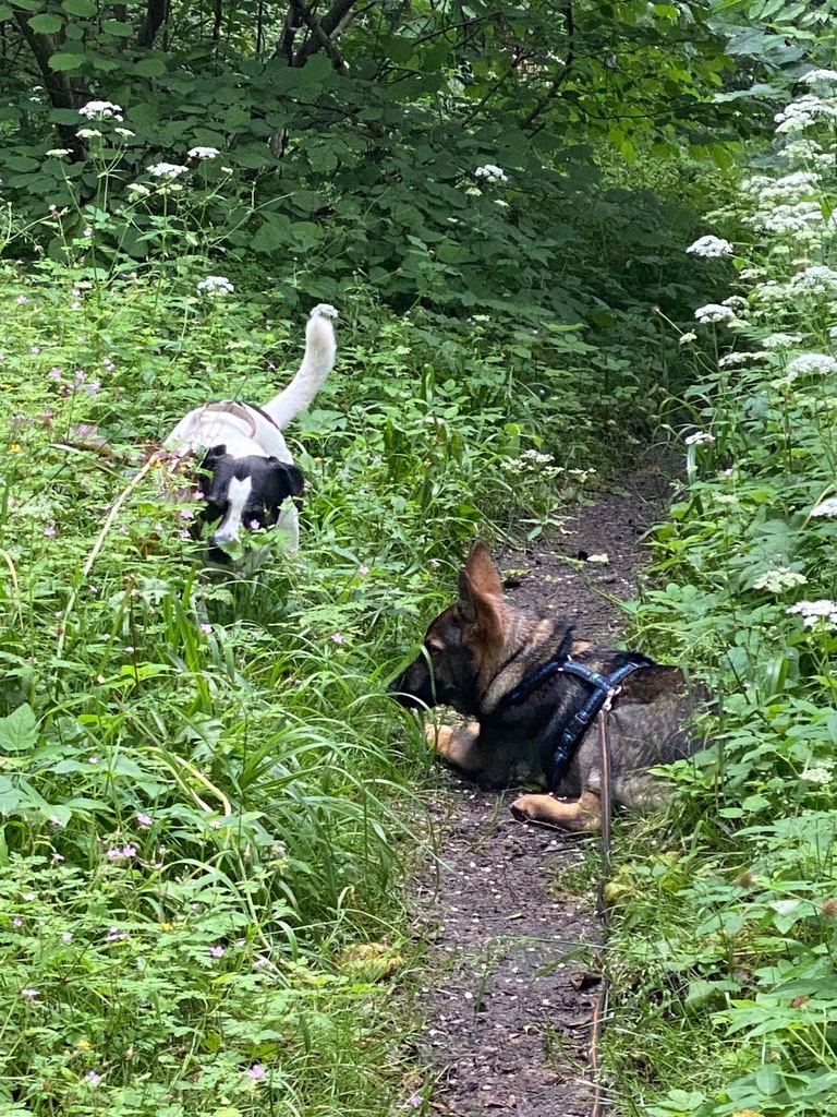 70869700-3BB5-4AD0-8BB5-8761D423525A_1_105_c