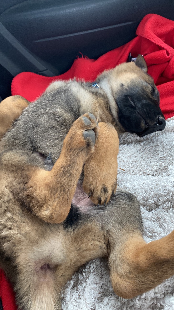 80111B46-7DAE-416E-8075-F7A2410A0BE6_1_105_c