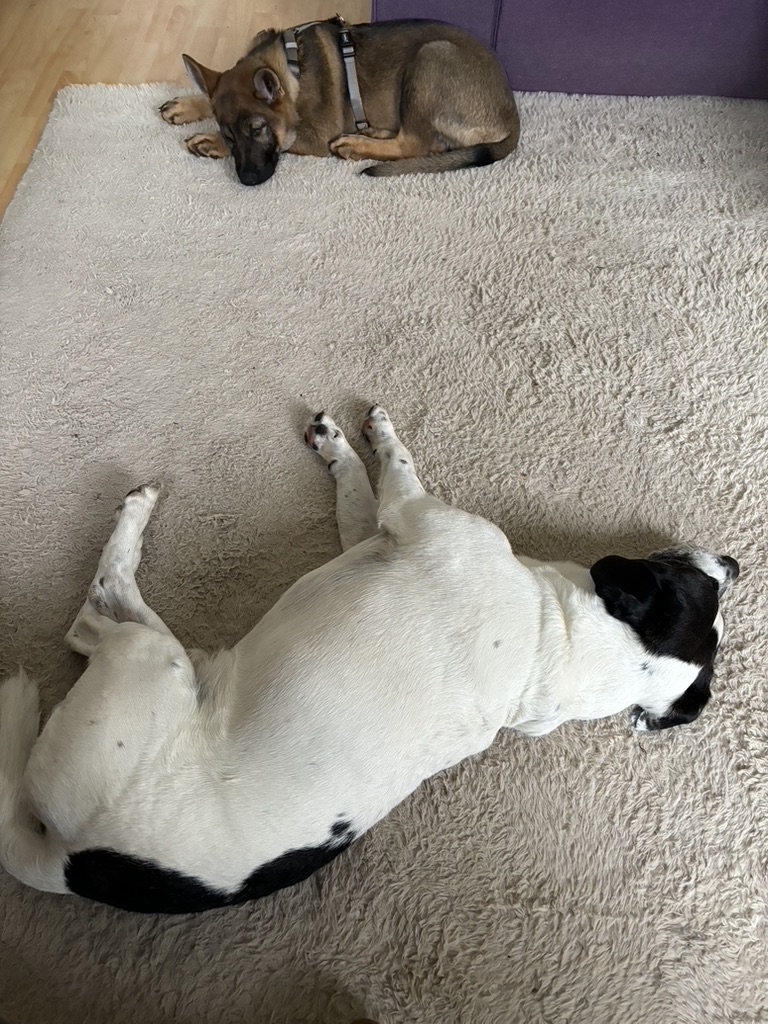 AD17B468-F035-4850-8397-BA5A3243FEA0_1_105_c