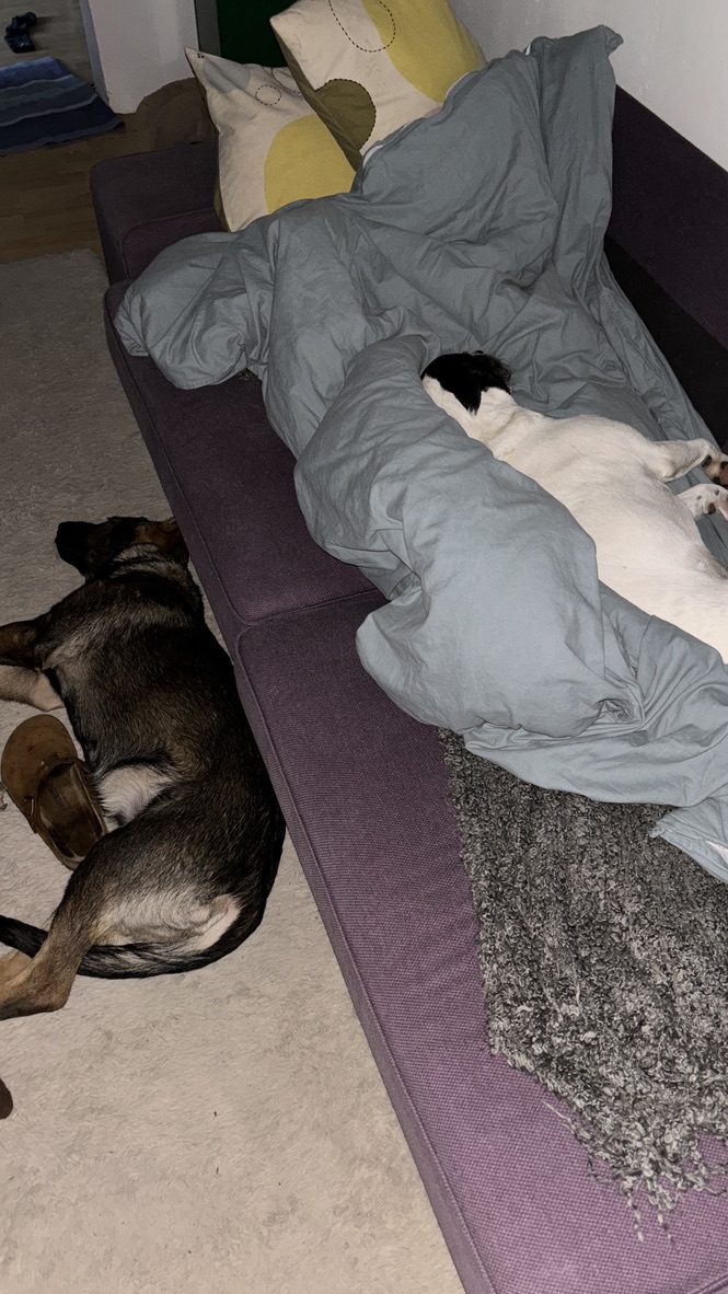 C66A16A9-1B30-44B0-84A7-205A4E6C7545_1_105_c