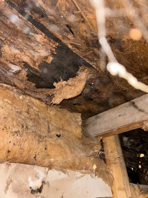 Rigips und Dämmung entfernt